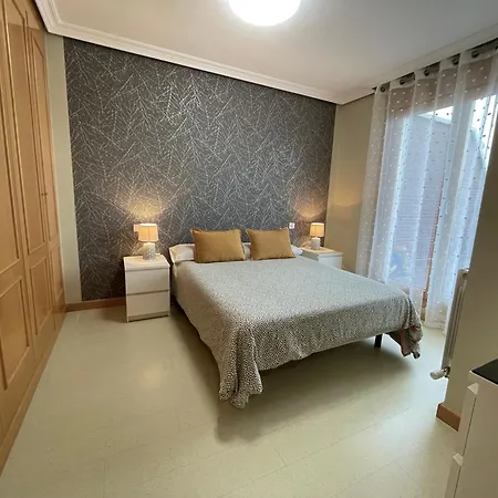 Apartman Con Gran Terraza Y Vistas A La Catedral. Burgo