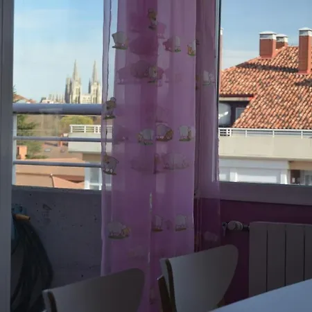 Con Gran Terraza Y Vistas A La Catedral.