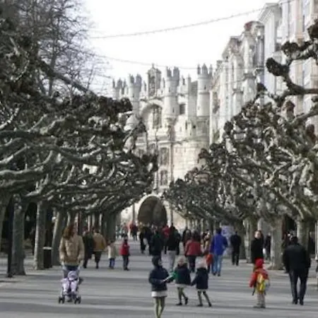 Con Gran Terraza Y Vistas A La Catedral. Burgo