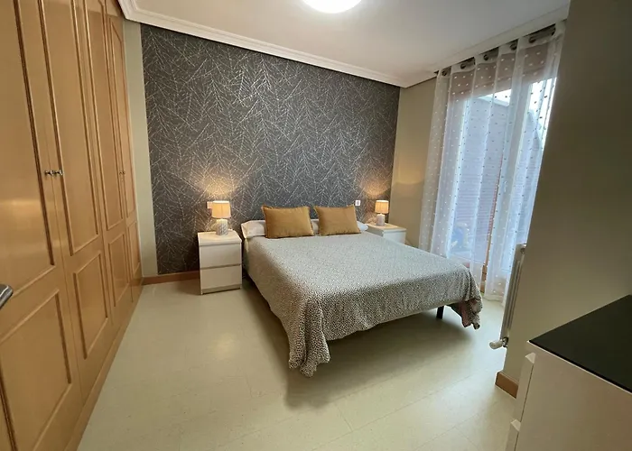 Appartement Con Gran Terraza Y Vistas A La Catedral. Burgo