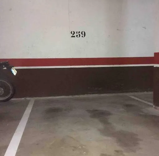 Con Gran Terraza Y Vistas A La Catedral. Appartement