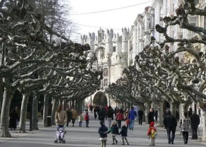 Con Gran Terraza Y Vistas A La Catedral. Burgo